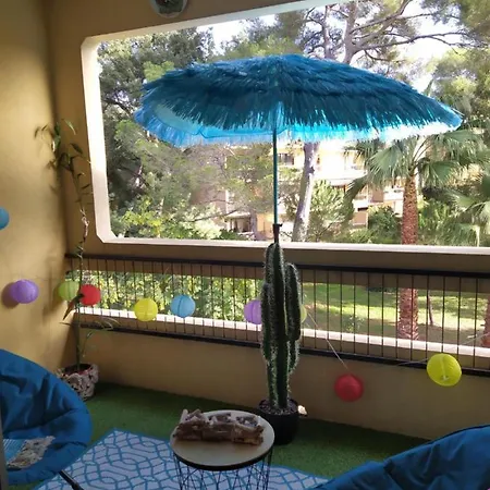 Paradise Entre Et Pins